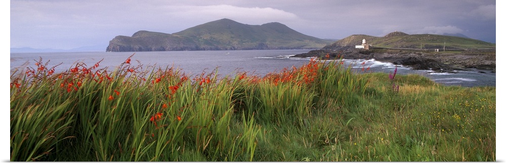 Doulus Bay and Doulus Head, Valentia island, Munster, Republic of Ireland