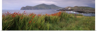 Doulus Bay and Doulus Head, Valentia island, Munster, Republic of Ireland