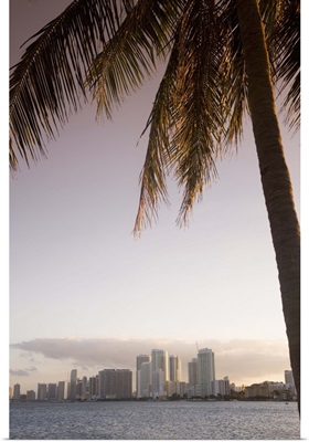 Downtown Miami skyline, Miami, Florida, USA