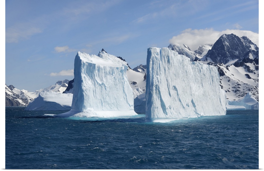 Drygalski Fjord, Floating Icebergs, South Georgia, South Georgia and the Sandwich Islands, Antarctica, Polar Regions