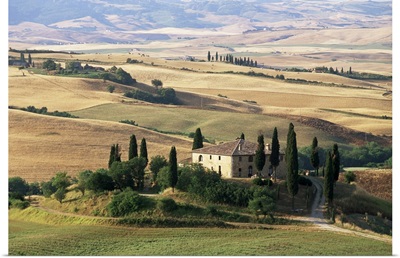 Farmhouse and cypress trees in the early morning, San Quirico d'Orcia, Tuscany, Italy