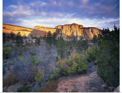 First light on the hills, Zion National Park, Utah