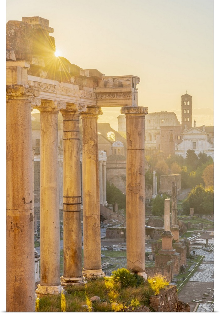 Forum at sunrise, UNESCO World Heritage Site, Rome, Lazio, Italy, Europe