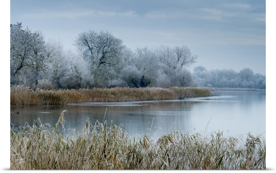 A scenic view shows frosty conditions at Cotswold Water Park, Gloucestershire, England, United Kingdom, Europe.
