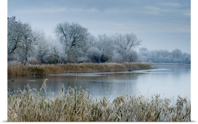 Frosty conditions at Cotswold Water Park, Gloucestershire, England, UK