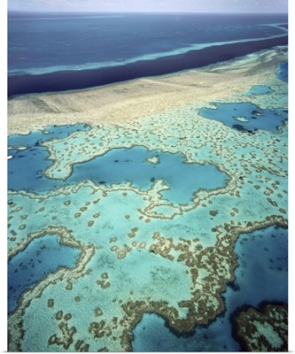 Great Barrier Reef, Queensland, Australia, Pacific