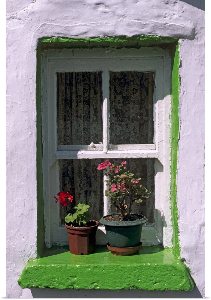 Green window in traditional house, Cashel, Munster, Republic of Ireland
