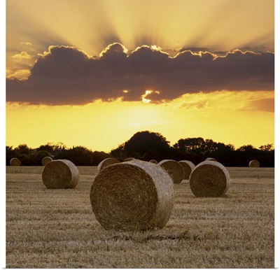 Hay bales at sunset, East Sussex, England, UK