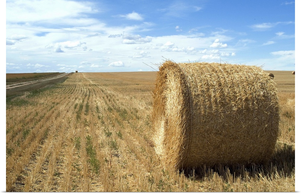 Haystacks, North Dakota