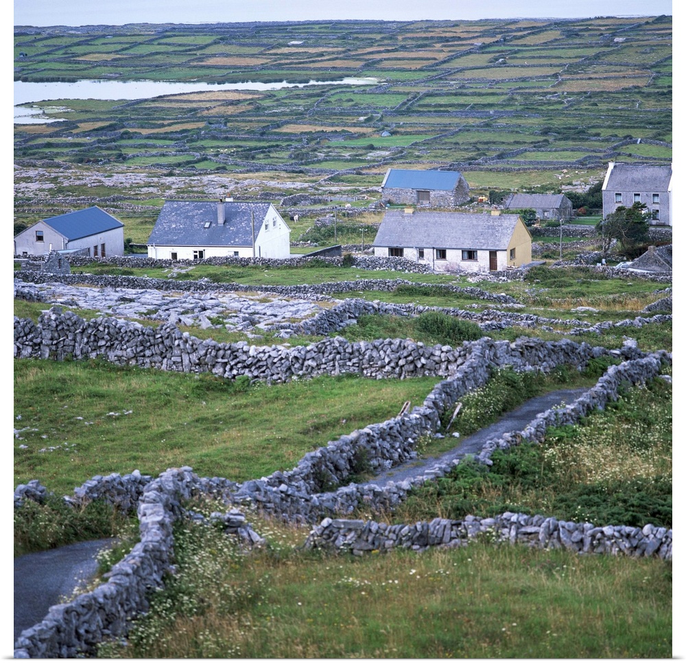 Inishmore, Aran Islands, County Galway, Connacht, Eire (Republic of Ireland)