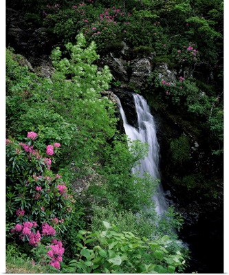 Inversnaid Waterfall, Loch Lomond, Stirling, Central Region, Scotland, UK
