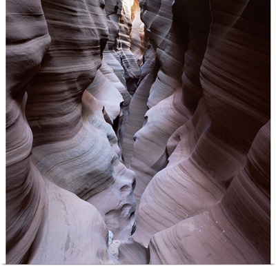 Kabito Canyon, a slot canyon, Arizona