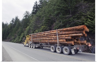 Logging truck in MacMillan Provincial Park, British Columbia, Canada