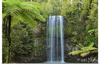 Millaa Millaa Falls, Atherton Tableland, Queensland, Australia, Pacific