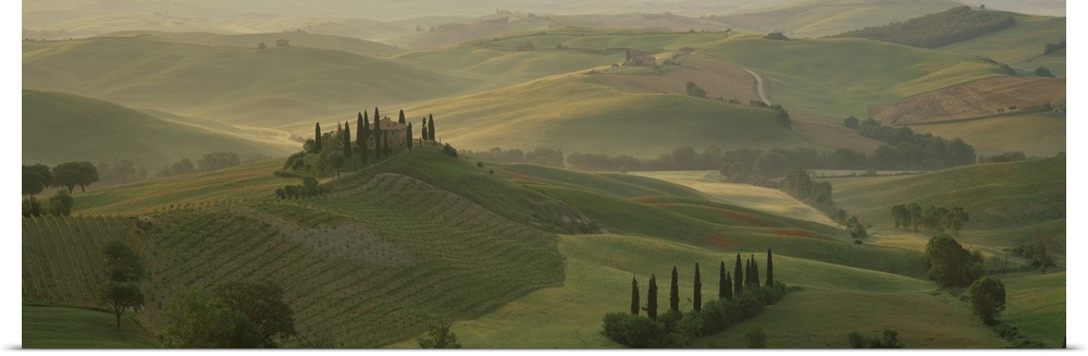 Morning view across Val d'Orcia to The Belvedere, Tuscany, Italy