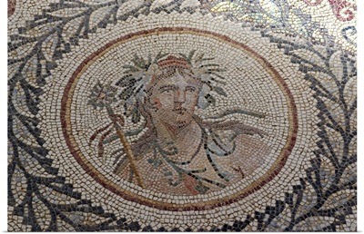 Mosaic, at the Museum of Chemtou, Tunisia, Africa