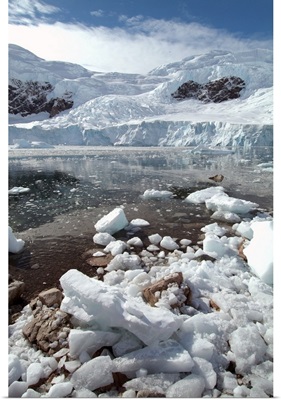 Neko Harbor, Antarctica, Polar Regions