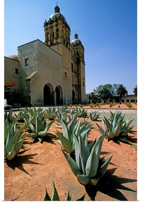Oaxaca, Mexico, North America