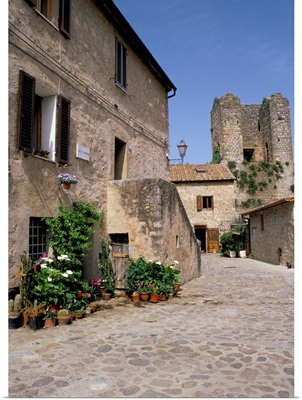 Old house with pots of flowers in the Largo di Fontebranda, Siena, Tuscany, Italy