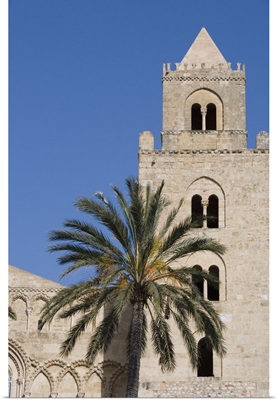 Palm tree, Cathedral, Piazza Duomo, Cefalu, Sicily, Italy, Europe