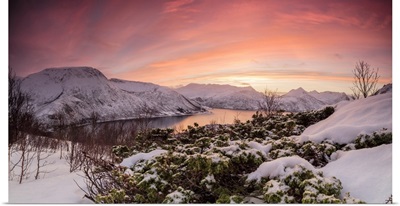 Panorama Of Frozen Sea, Torsken, Senja, Troms County, Norway