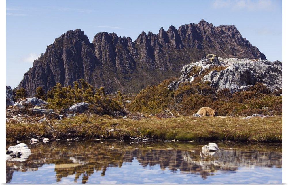 Peaks of Cradle Mountain, 1545m, Cradle Mountain Lake, Tasmania, Australia, Pacific