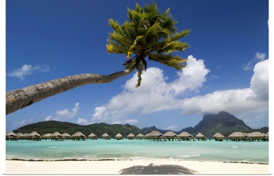 Pearl Beach Resort, Bora-Bora, Leeward group, Society Islands, French Polynesia