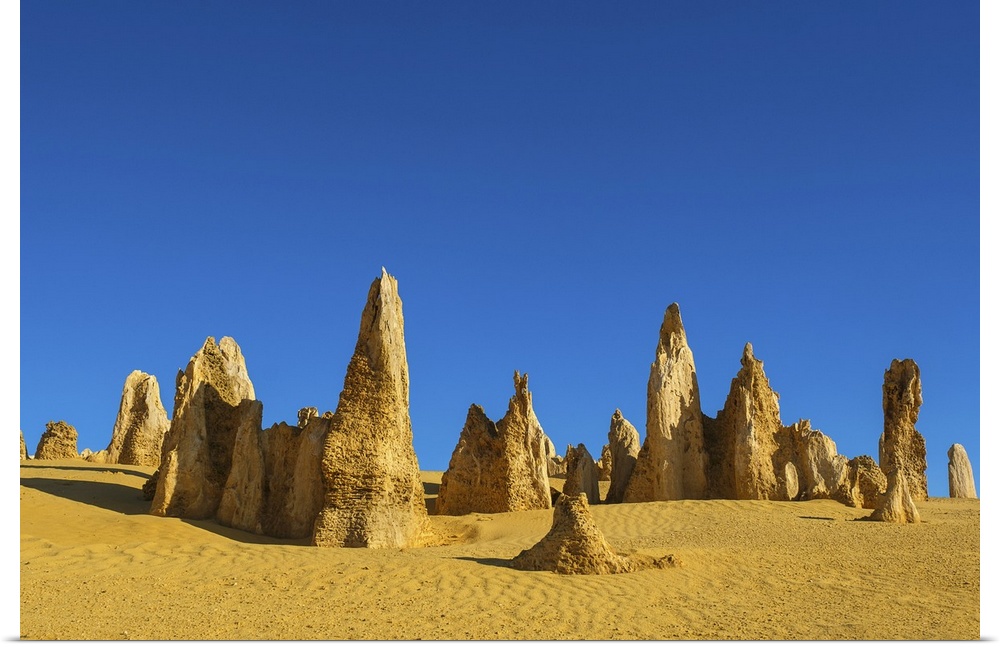 Pinnacles, rare limestone formations, dated around 30000 years old, Nambung National Park, Western Australia, Australia, P...