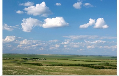 Prairie farmland, North Dakota, United States of America, North America