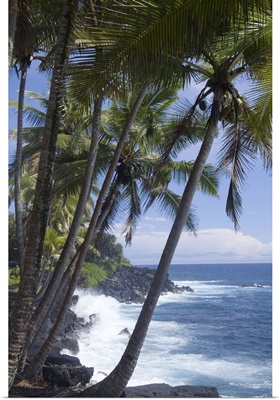 Puna (Black Sand) Beach, Island of Hawaii (Big Island), Hawaii, USA