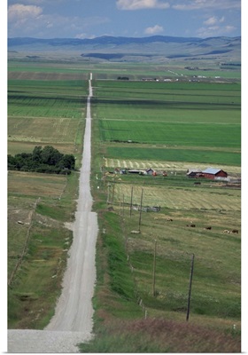 Road across prairie wheatlands, south of Calgary, Alberta, Canada, North America