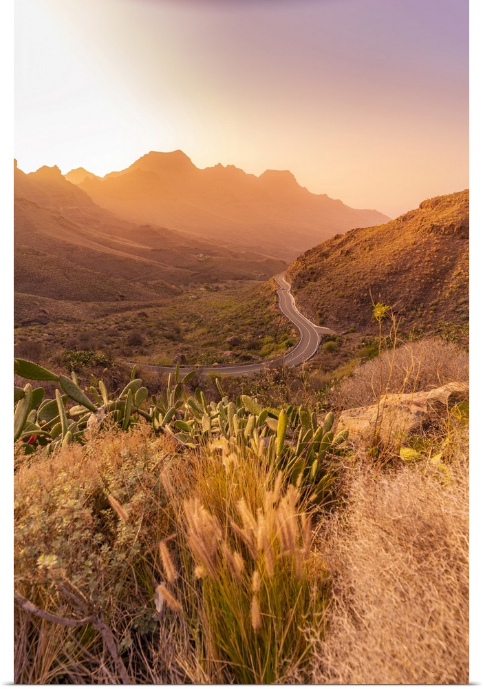 View of road and flora in mountainous landscape during golden hour near Tasarte, Gran Canaria, Canary Islands, Spain, Atla...