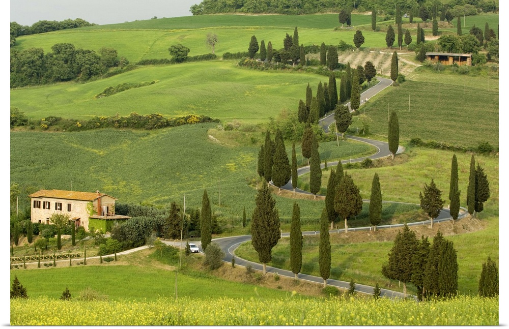 Road from Pienza to Montepulciano, Monticchiello, Siena province, Tuscany, Italy