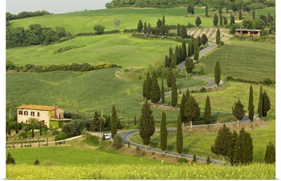 Road from Pienza to Montepulciano, Monticchiello, Siena province, Tuscany, Italy