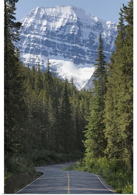 Road to Mount Edith Cavell, Jasper National Park, Rocky Mountains, Canada