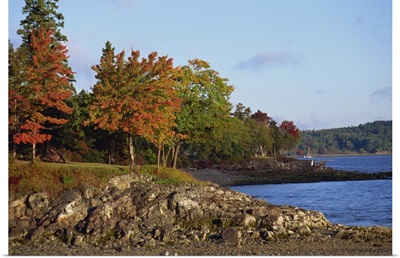 Rocky shoreline and trees in fall, Bar Harbour, Maine, New England, USA
