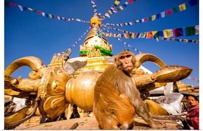 Sacred Monkey Temple, Kathmandu, Nepal