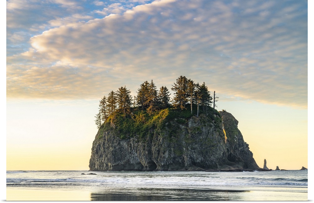 Sea stack at dawn at Second Beach, La Push, Clallam county, Washington State, United States of America, North America