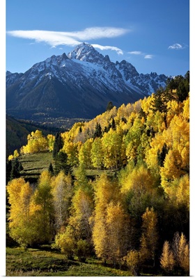 Sneffels Range with fall colors, Uncompahgre National Forest, Colorado
