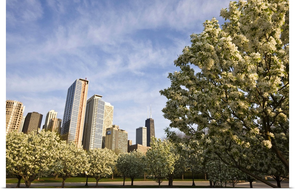 Spring blossoms in Navy Pier Park, Chicago, Illinois