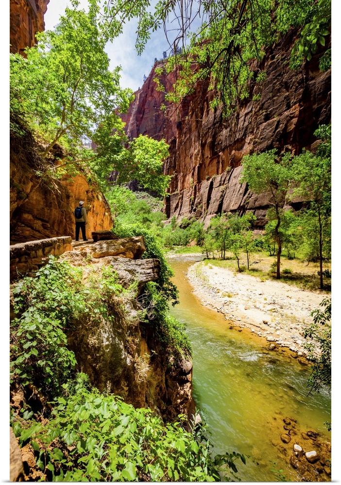 The Narrows Canyon Trail, Zion National Park, Utah, United States of America, North America