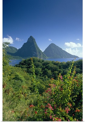 The Pitons, St.Lucia, Caribbean