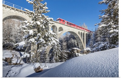 The red train on viaduct surrounded by snowy woods, Cinuos-Chel, Engadine, Switzerland