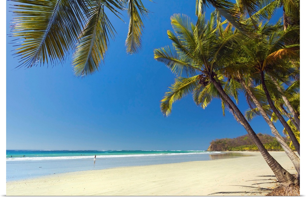The white sand palm-fringed beach, Samara, Costa Rica