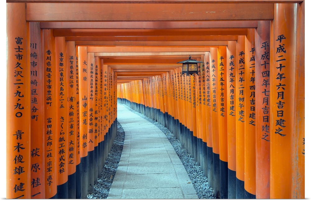 Torii gate at Fushimi Inari Jinja, Shinto shrine, UNESCO World Heritage Site, Kyoto, Honshu, Japan, Asia