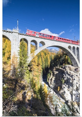 Train on viaduct surrounded by woods, Cinuos-Chel, Graubunden, Engadine, Switzerland