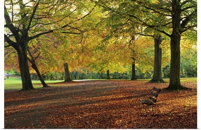 Trees in autumn colours and park, Clifton, Bristol, England