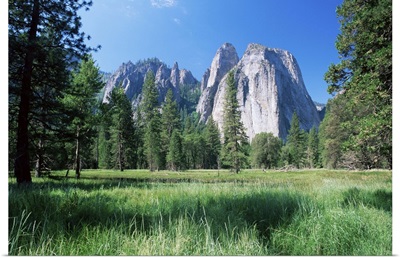 View across meadows to Cathedral Rocks, Yosemite National Park, California, USA