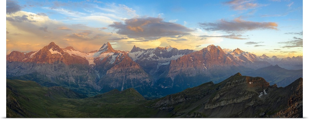 Aerial view of Wetterhorn, Schreckhorn, Finsteraarhorn, Eiger, Monch, Jungfrau mountains at sunset, Bernese Oberland, Swit...