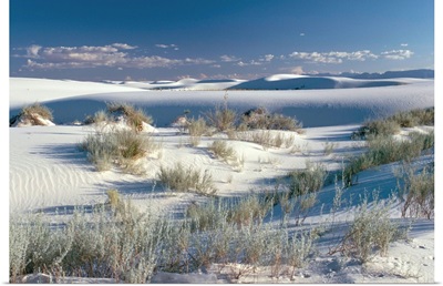 White Sands Desert, New Mexico, United States of America, North America